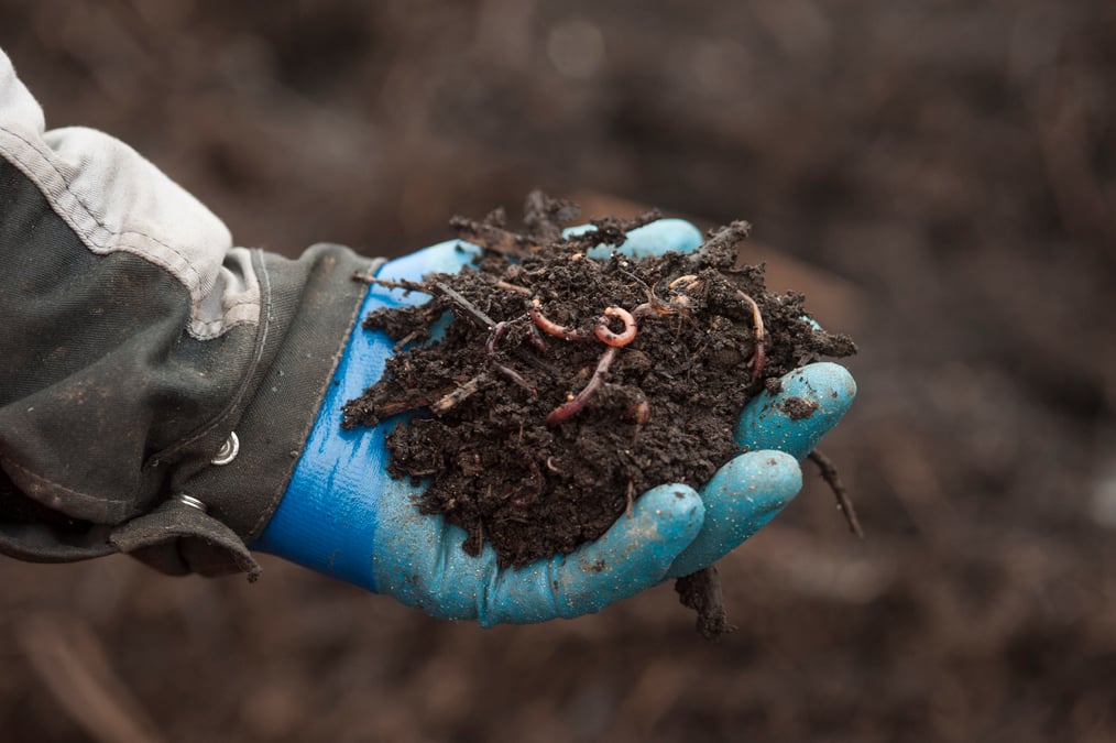 Quand une start-up transforme les déchets en carburant
