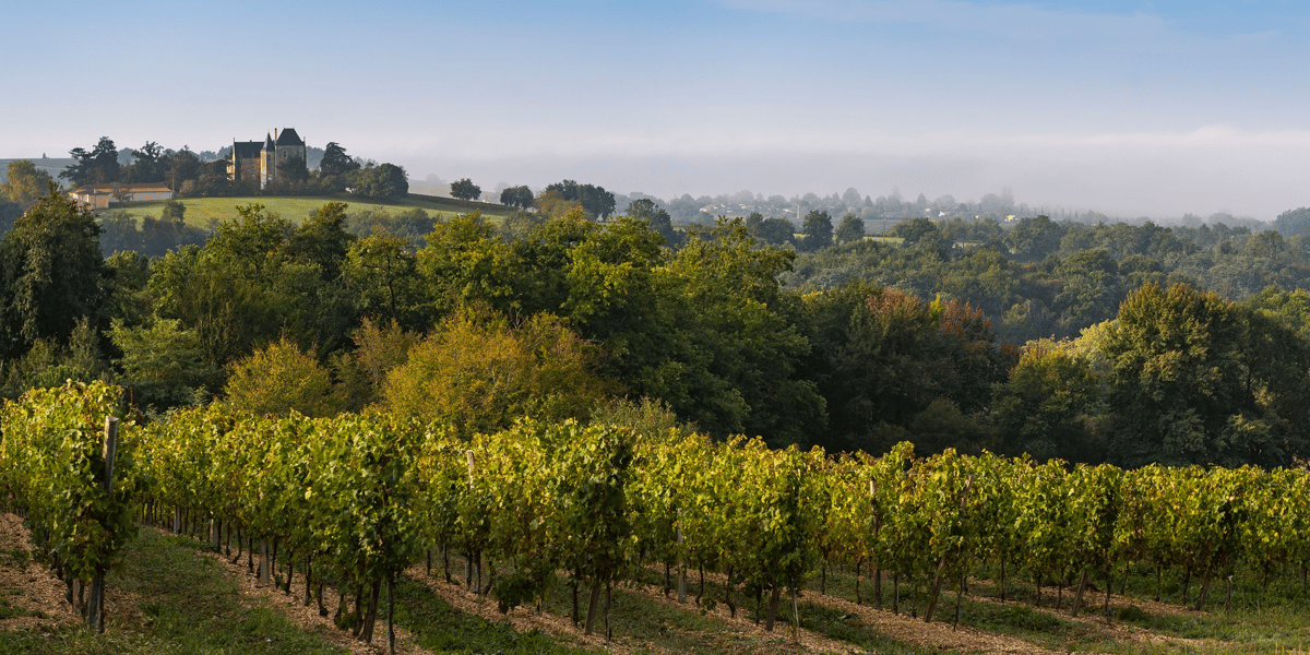 Vignoble Cadillac Côtes de Bordeaux