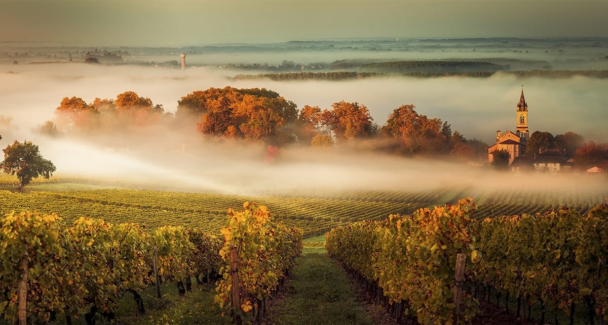 Connaissez-vous l’Entre-deux-Mers, la petite Toscane au cœur des vignes bordelaises.