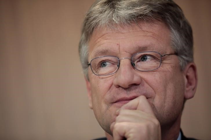 Le parti afd prone une "immigration negative" en allemagne