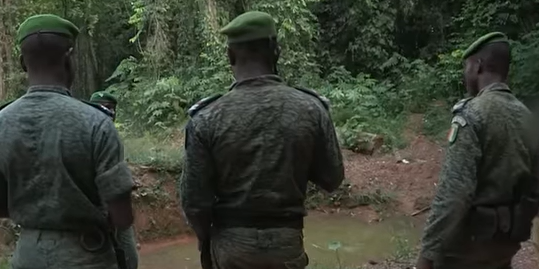 sodefor cote d'ivoire