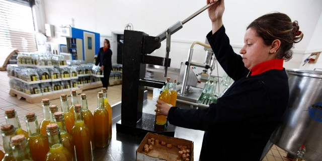 Agriculture huilerie Algérie transformation conditionnement
