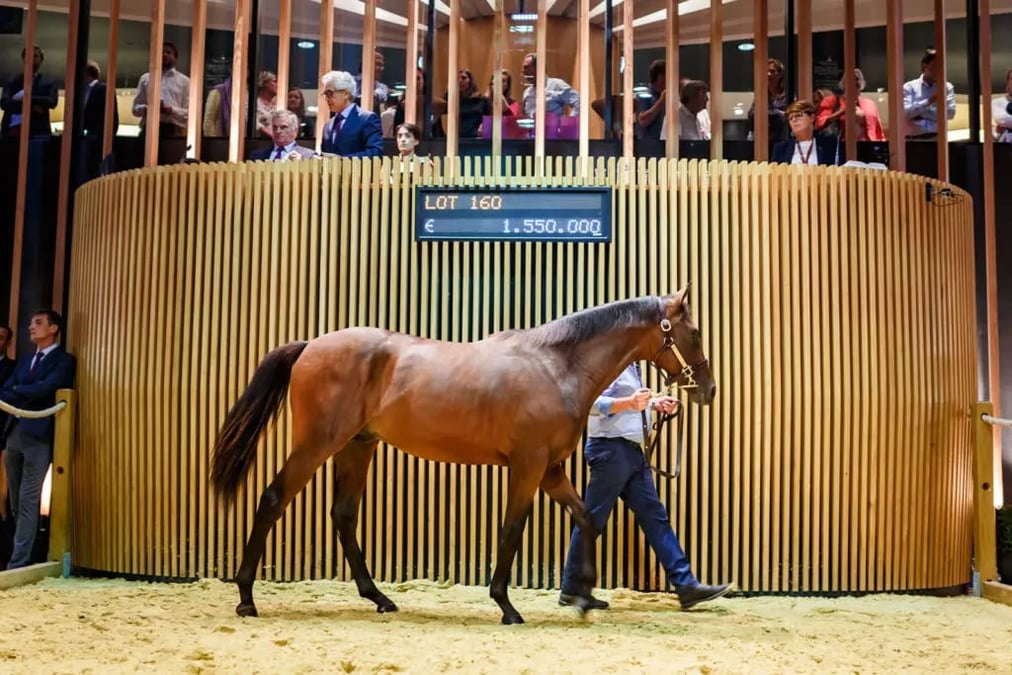 Deauville est la troisième place de marché mondiale pour la vente de jeunes pur-sang, les yearlings, derrière les places américaines et britanniques.