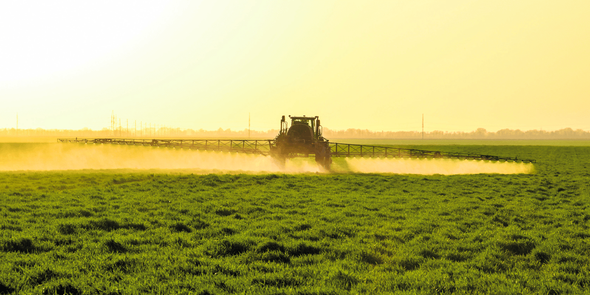 Aux Etats-Unis, le glyphosate de Bayer-Monsanto est visé par plus de 13.000 plaintes, une quarantaine d'ONG européennes réclament son interdiction, et la France voudrait s'en passer d'ici trois ans.