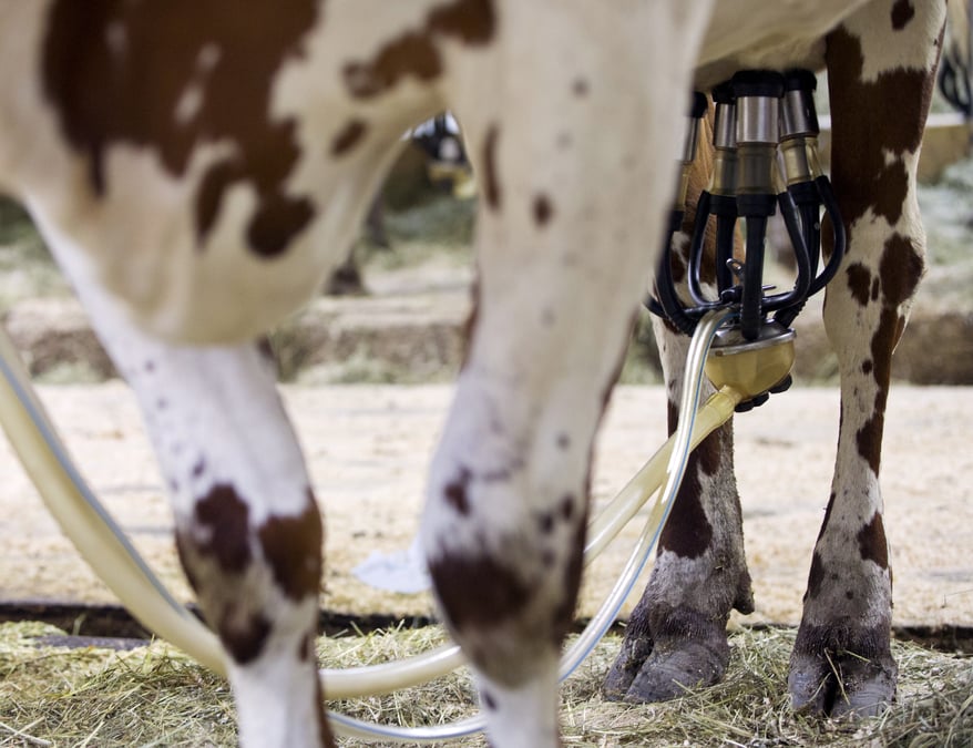 Les prix alimentaires mondiaux baissent encore