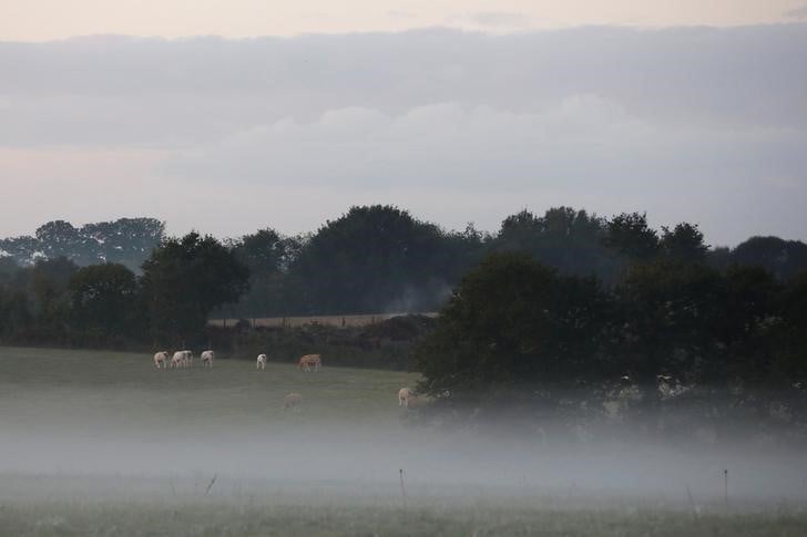 Possible coup d'arret judiciaire pour notre-dame-des-landes