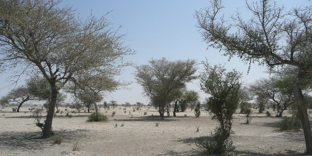 Sahara Sahel climat sécheresse