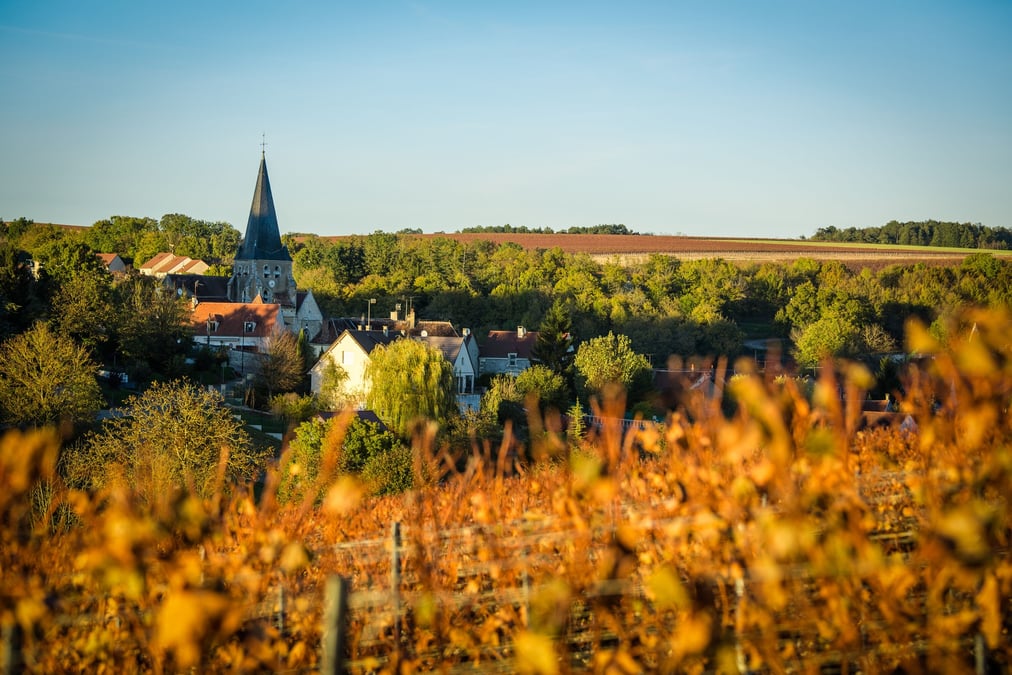 aysage dans le vignoble de Châblis à Beines