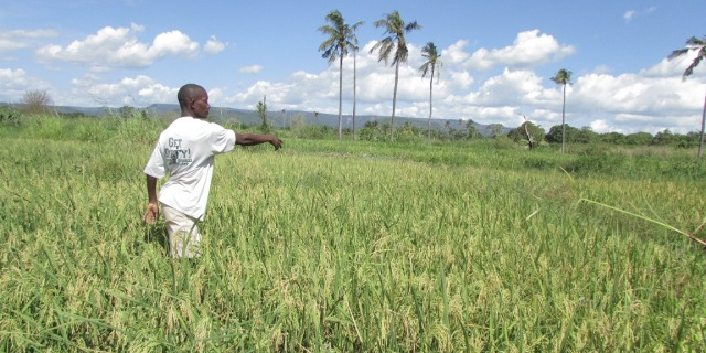 tanzanie fermier agriculture foncier