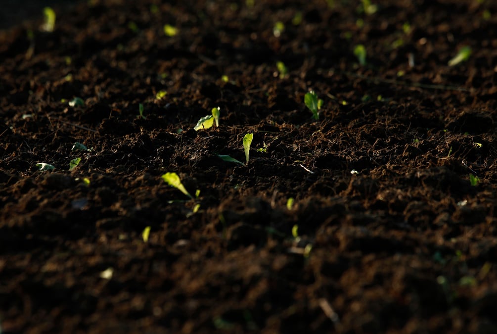 L'etat de washington legalise le compost humain