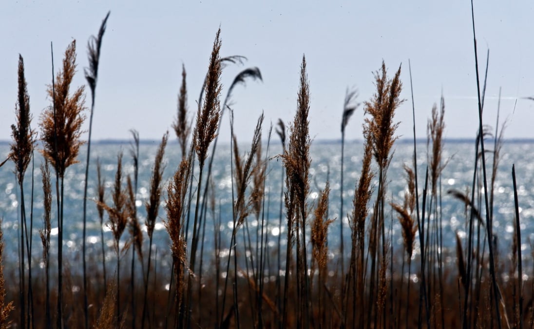 Les récoltes pourraient être affectées par l'appauvrissement des sols, les sécheresses ou les vagues de chaleur, tandis que la pêche pourrait l'être par la surexploitation et la disparition d'espèces en raison du réchauffement de la mer, souligne l'étude.