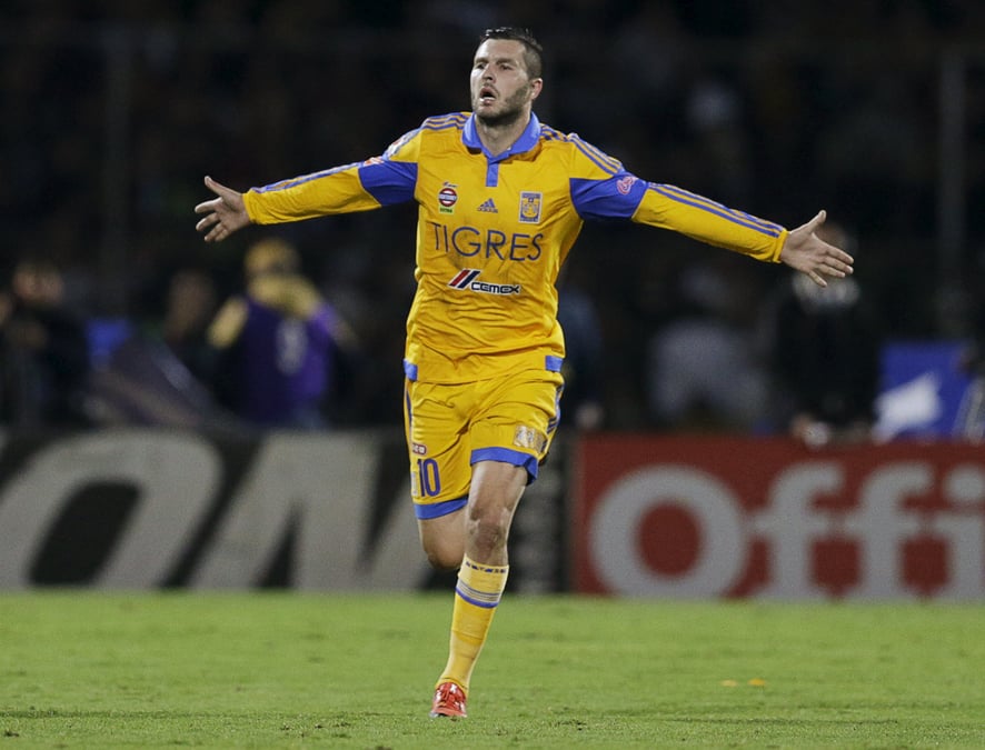 Les tigres et andre-pierre gignac champions du mexique