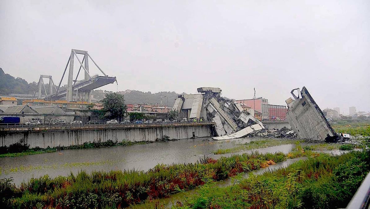 viaduc genes