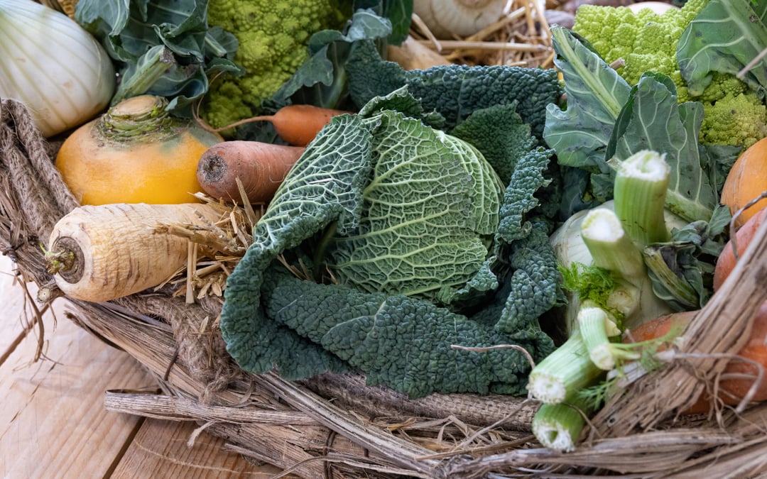 Paris ambitionne de porter à 50% la part d'aliments servis dans ses cantines issus "de filières de proximité".