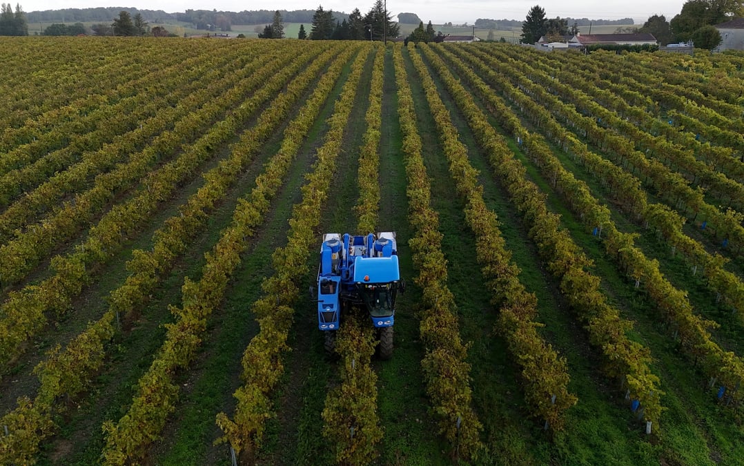 Une vue de drone montre un vendangeur conduisant un tracteur dans un vignoble a bonneuil