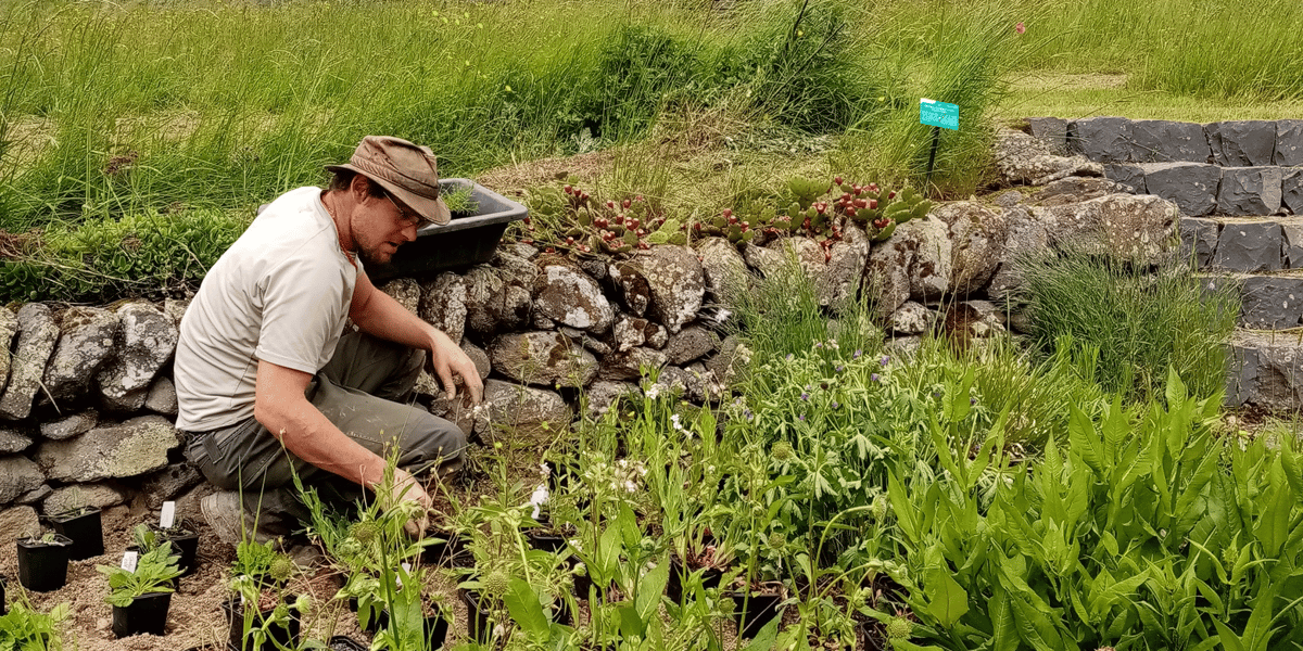 Filière "Végétal local"