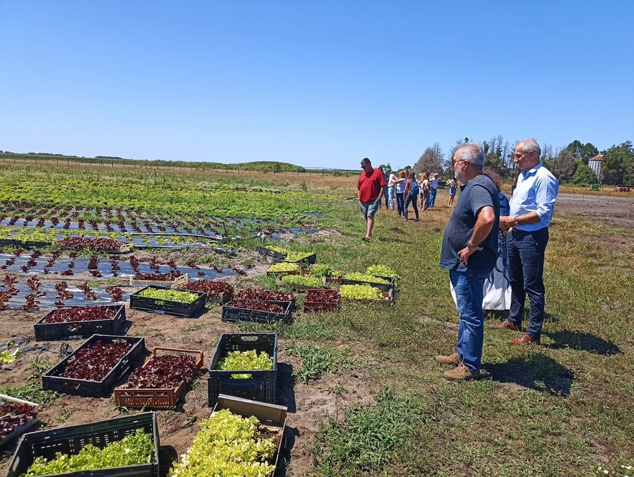 La P'tite Ferme loue quatre hectares de terrain à Planasa depuis avril au Barp en Gironde.