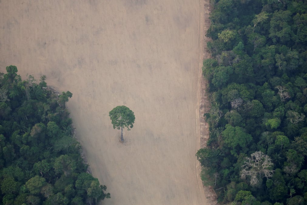 Bresil: huit pays europeens demandent des mesures contre la deforestation en amazonie