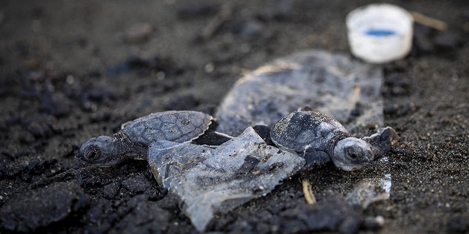 Dans le monde, 460 millions de tonnes de plastique sont produites chaque année, dont 37 % concernent uniquement les emballages.