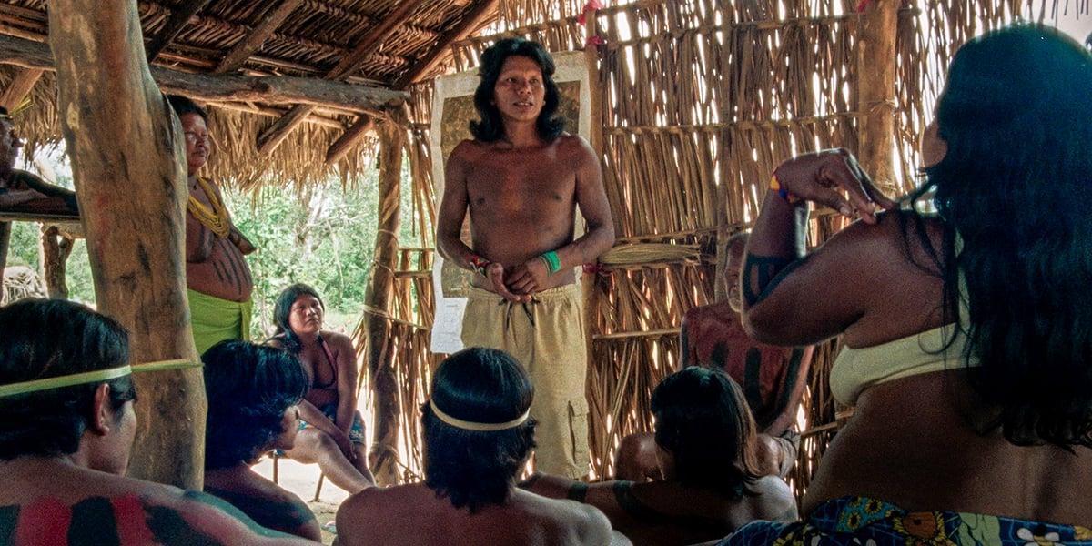 Dans l’État du Tocantins, dans le nord du Brésil.
