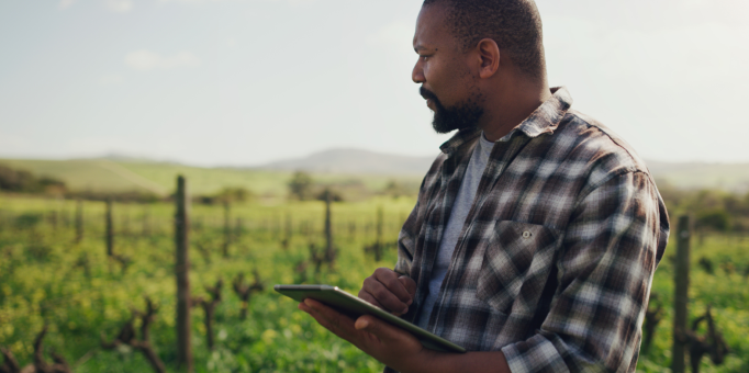 agritech cameroun