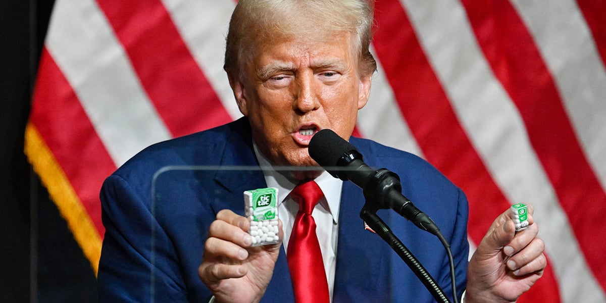 Pour le moment, Donald Trump n'a fourni aucune précision quant à la teneur exacte du projet, appelé « The DeFiant Ones ».