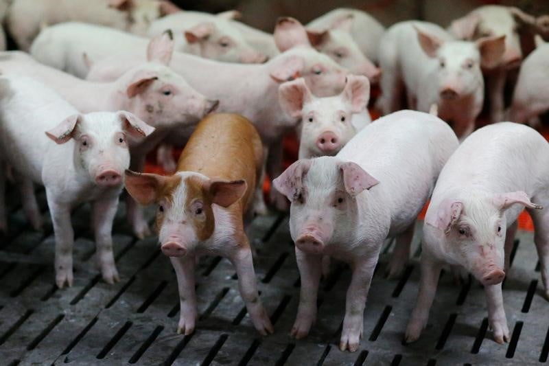 Operations coup de poing des agriculteurs dans l'ouest