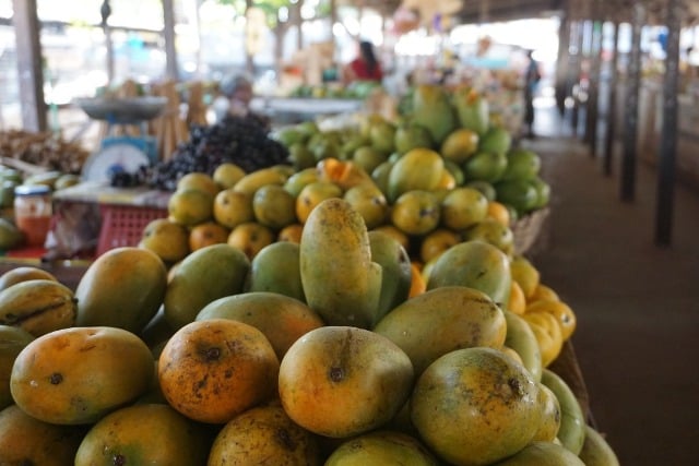La région du Grand Bassam est l’une des principales zones de culture de la mangue et de l’ananas en Côte d’Ivoire.