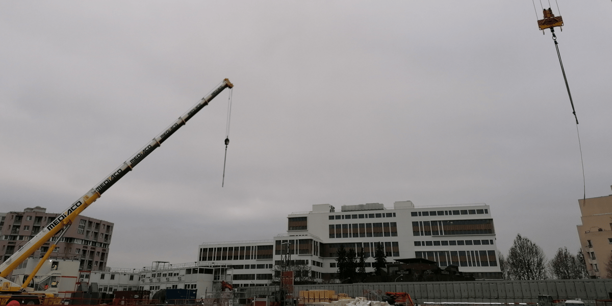 Grues