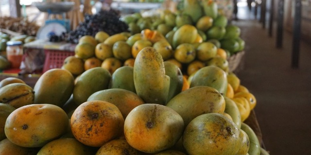 mangue