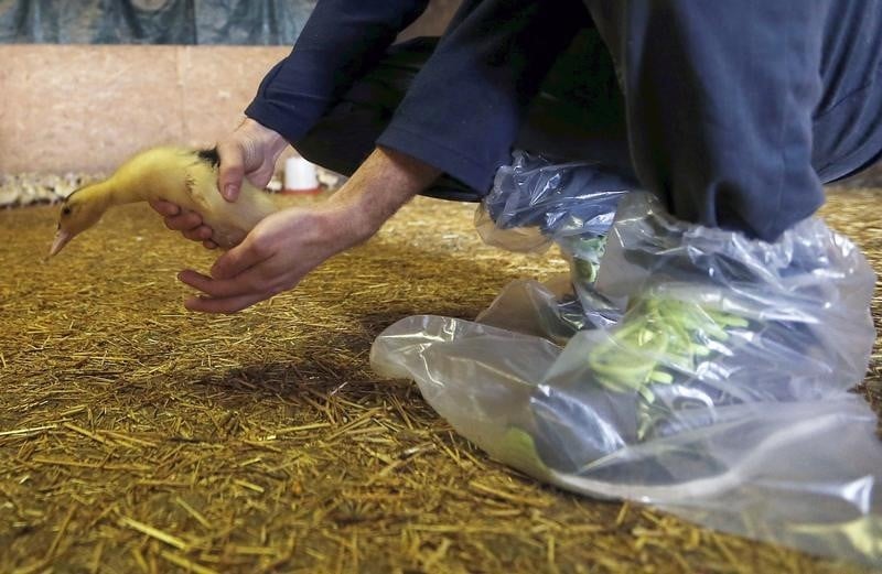 Des aides pour les eleveurs et les agriculteurs