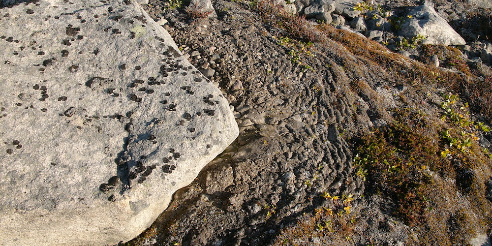 permafrost