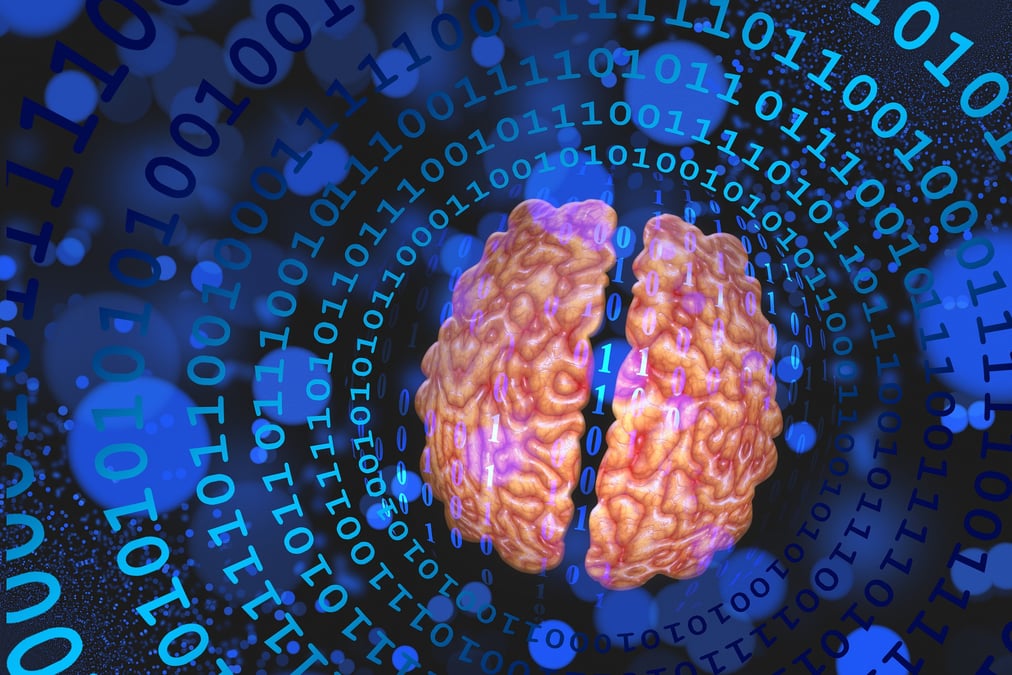 cerveau