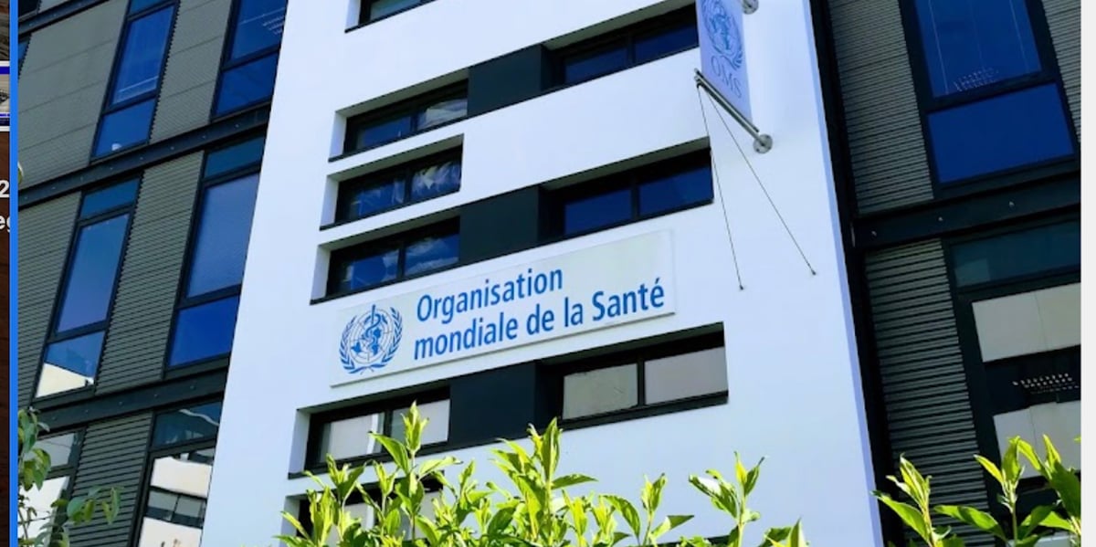 Implantée au coeur du Biodistrict, à Lyon, l'Académie de l'OMS a pour ambition de former trois millions de professionnels et gestionnaires de santé du monde entier d'ici à 2028.