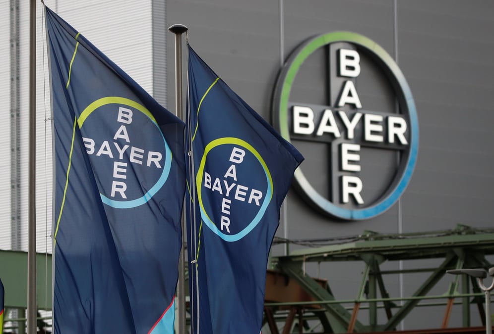Logo et drapeaux de bayer ag a l'exterieur d'une usine du fabricant allemand de produits pharmaceutiques et chimiques a wuppertal