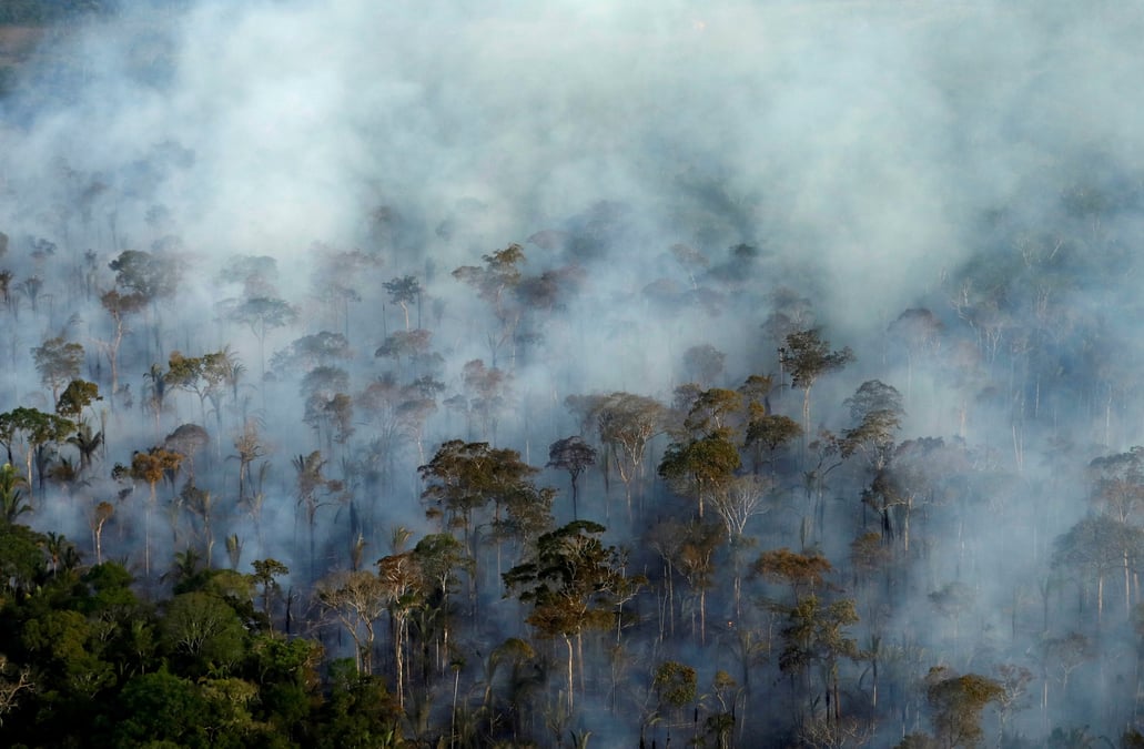 Greenpeace dénonce la réduction de moyens destinés à la lutte contre la déforestation.