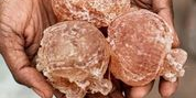 Exsudat de  l'acacia, la gomme est récoltée au sud du Sahara après incisions des troncs
