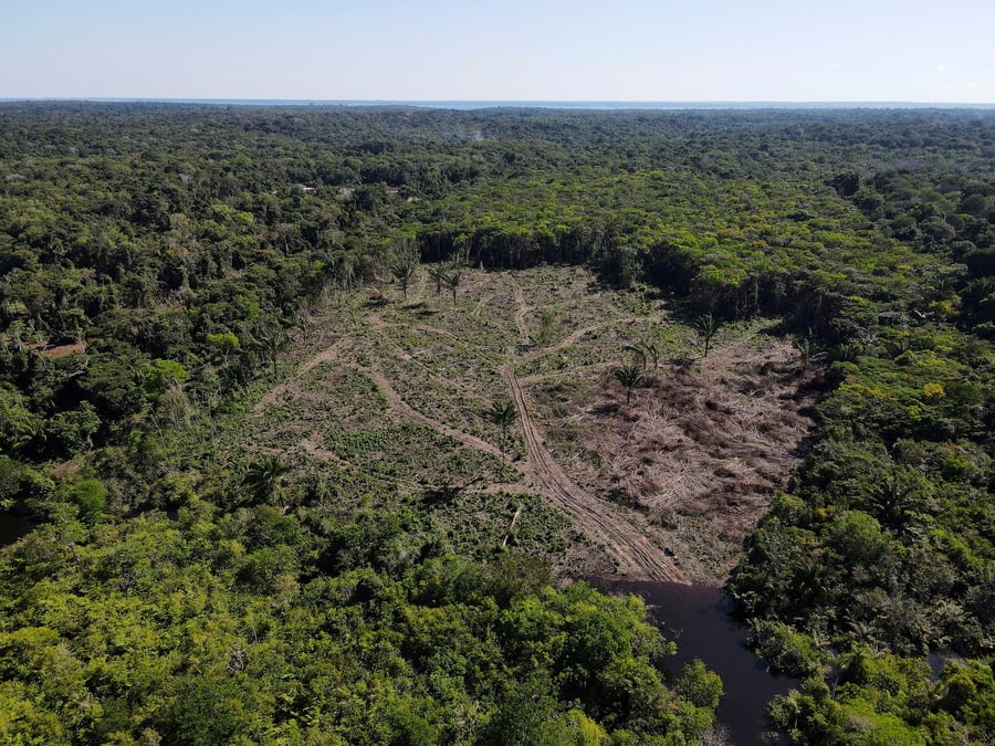 Vue aerienne montre la deforestation dans la foret amazonienne a manaus, au bresil