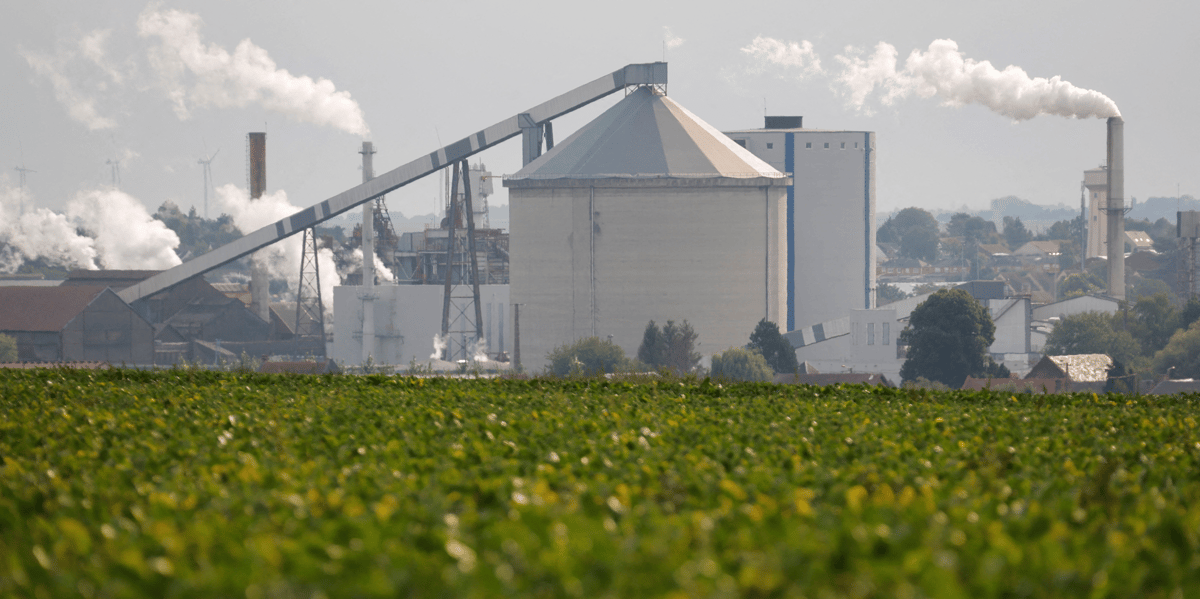 L'usine sucriere de tereos est visible derriere un champ de betteraves a escaudoeuvres
