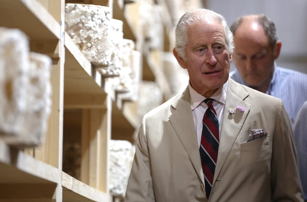 Le roi charles iii de grande-bretagne lors d'une visite a la poacher cheese farm