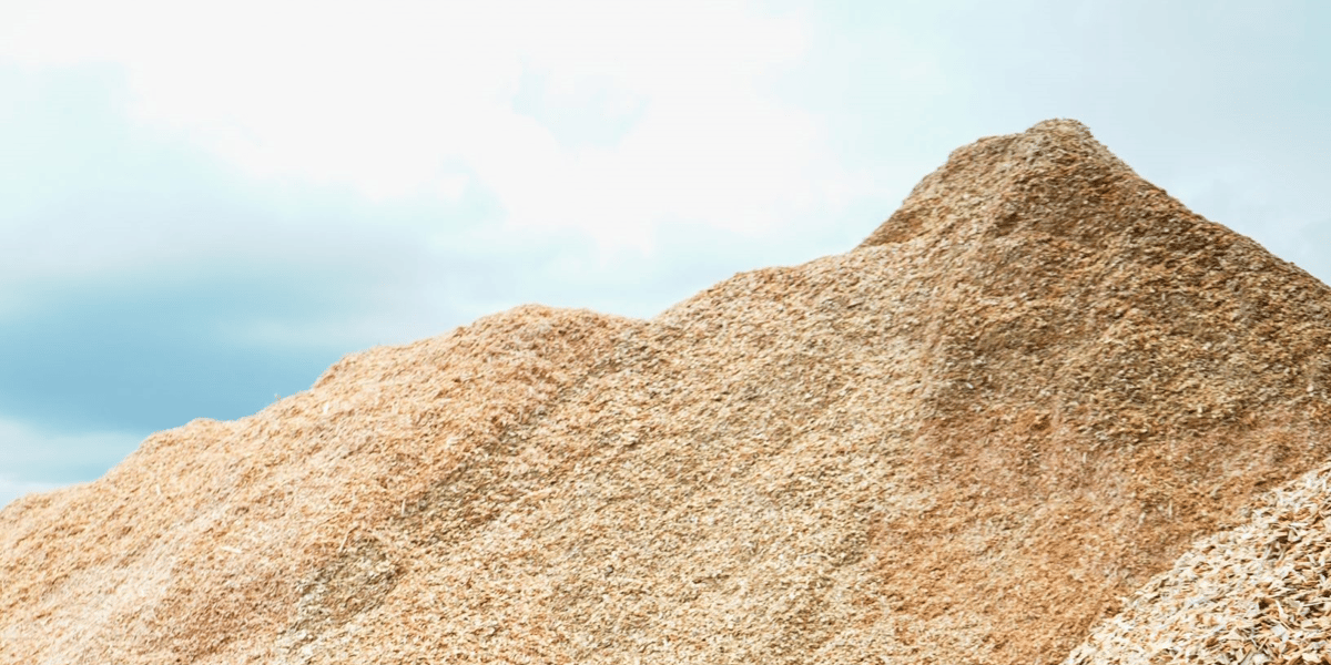 A partir de coproduits de scieries, Isonat fabrique 19.000 tonnes de panneaux de bois isolants. Dans deux ans, ce sera 42.000 tonnes.