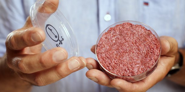 viande artificielle