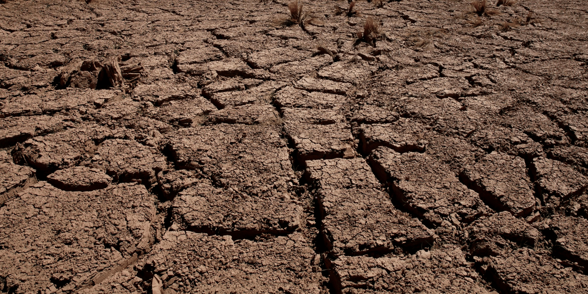 Comment réussir à modéliser ce qui semble impossible à anticiper ? Avec, parmi les principaux risques climatiques à venir au cours des prochaines années, la sécheresse, qui inquiète particulièrement les experts. Des questions auxquelles vont tenter de répondre l'EmLyon et le groupe Groupama RAA, dans le cadre de la chaire « Risque Climatique et Assurance Dommage ».