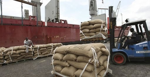 cacao export