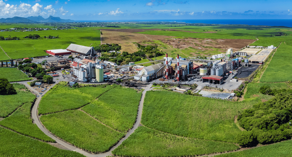 Ce projet dans la cosmétique est une diversification vitale pour l'exportateur de sucre de l'île.