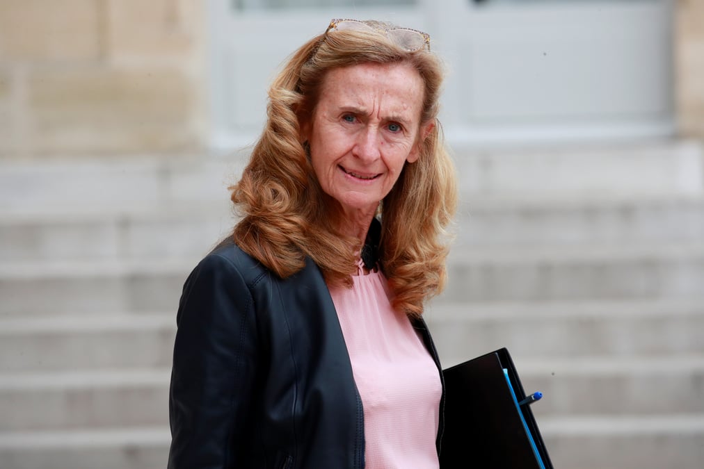 Pma: rien n'a encore ete tranche sur la filiation, dit belloubet