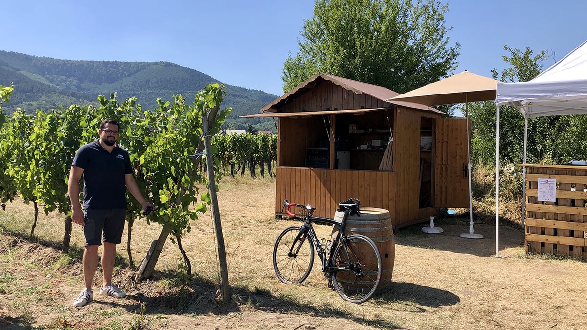 Un bar éphémère dans le vignoble à Ottrott, dans le Bas-Rhin.