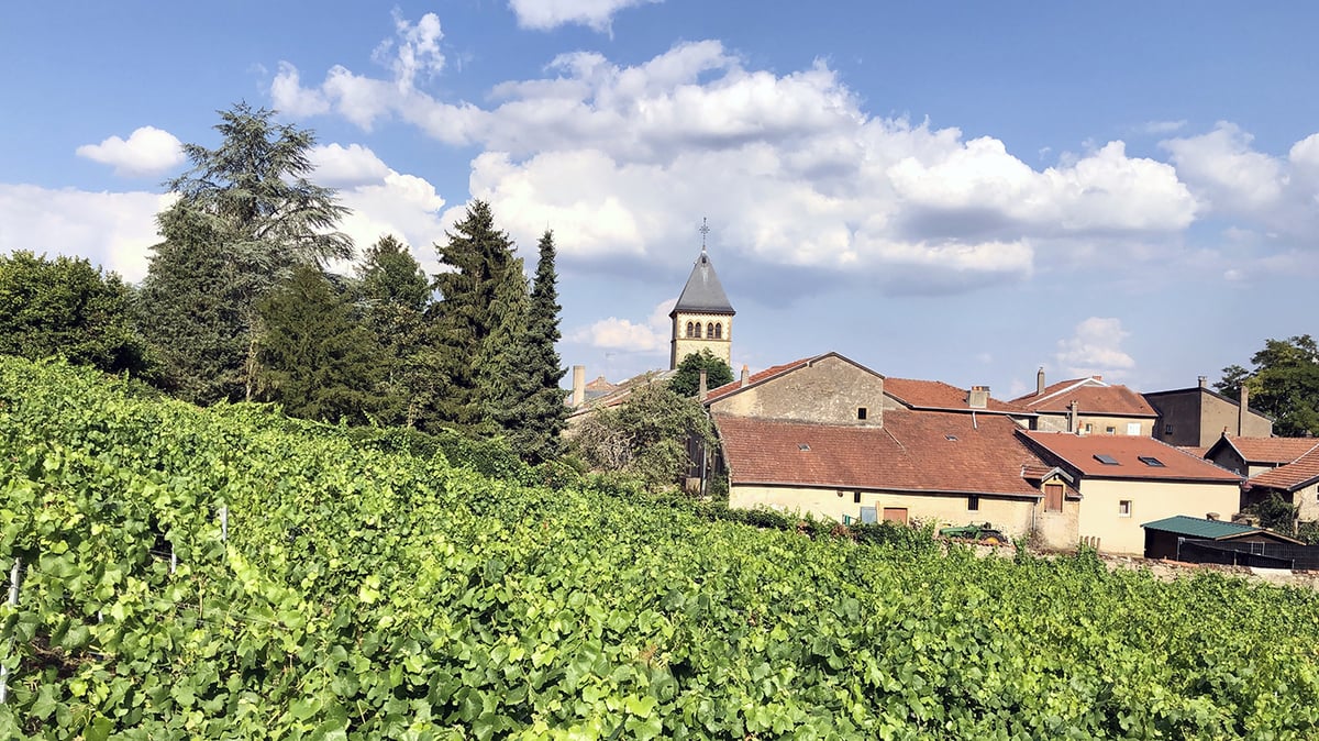 Le village de Vaux, dans le vignoble mosellan.