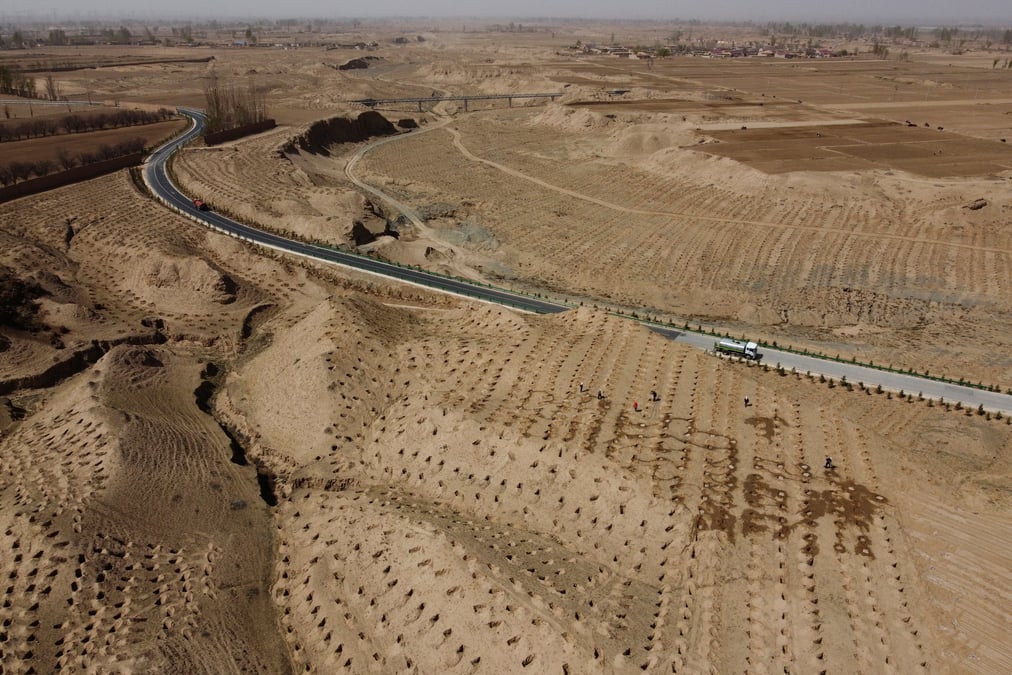 Climat: la chine va intensifier sa campagne de reforestation