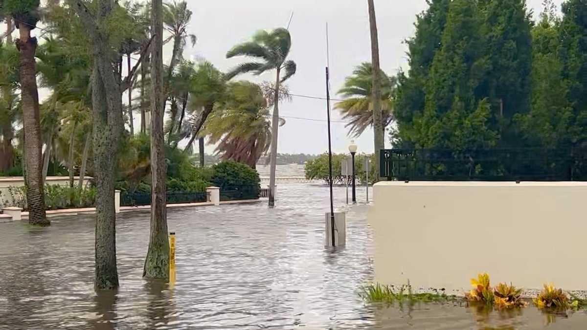 Inondations causees par l'ouragan idalia, a tampa bay, floride